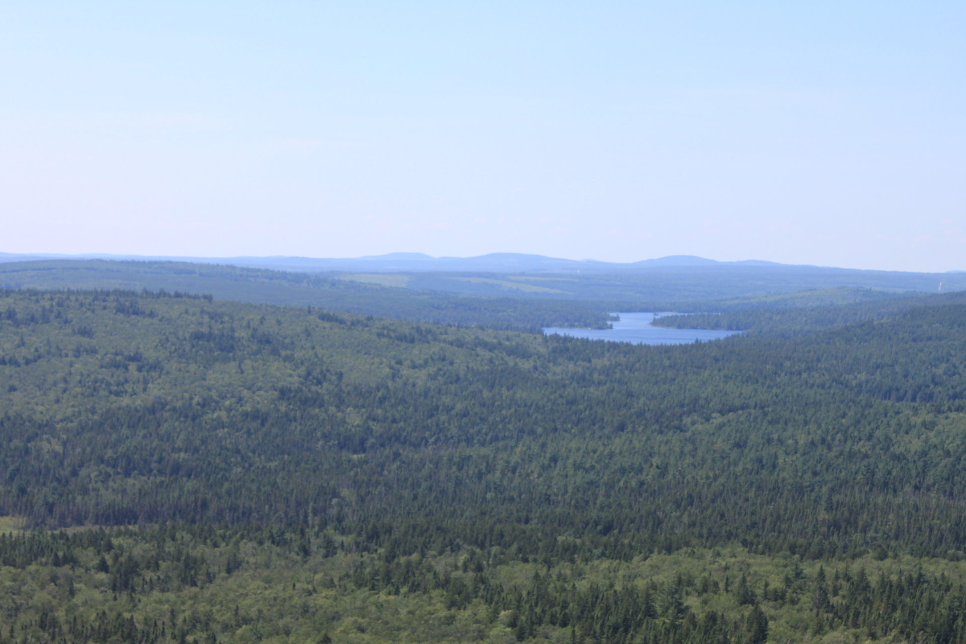 Turtle Mountain New Brunswick - Artisan In The Woods